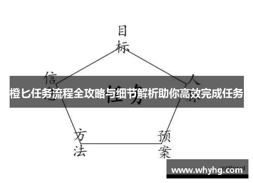 橙匕任务流程全攻略与细节解析助你高效完成任务