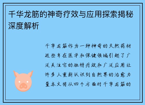 千华龙筋的神奇疗效与应用探索揭秘深度解析
